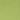 Celery Green