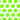 Lime Green Polka Dot