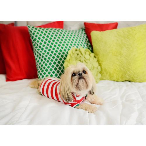 2023 Blank Christmas Pajamas - DOG